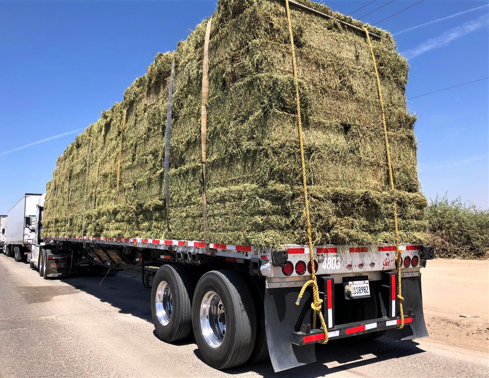 342150964_1029715711339989_8731801872410379678_n