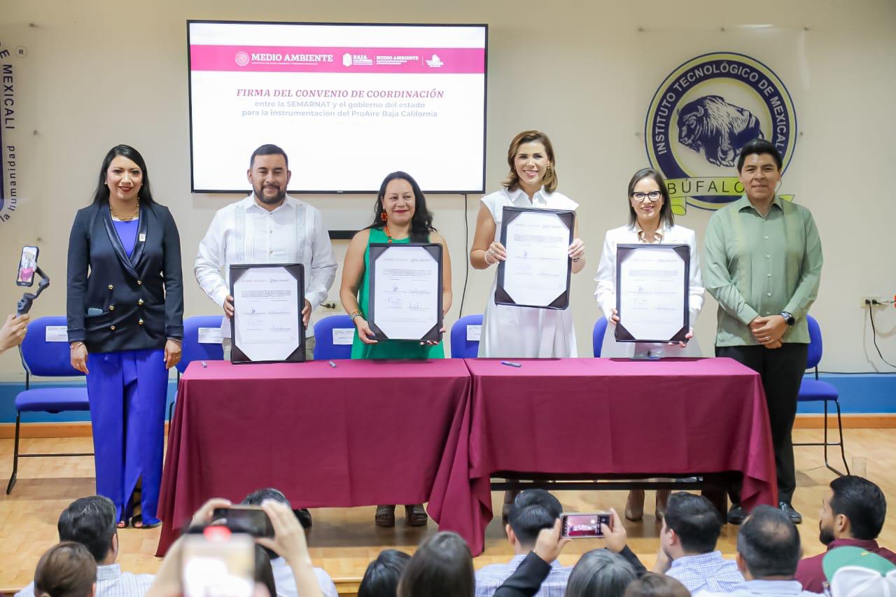 WhatsApp Image 2023-06-23 at 14.55.05