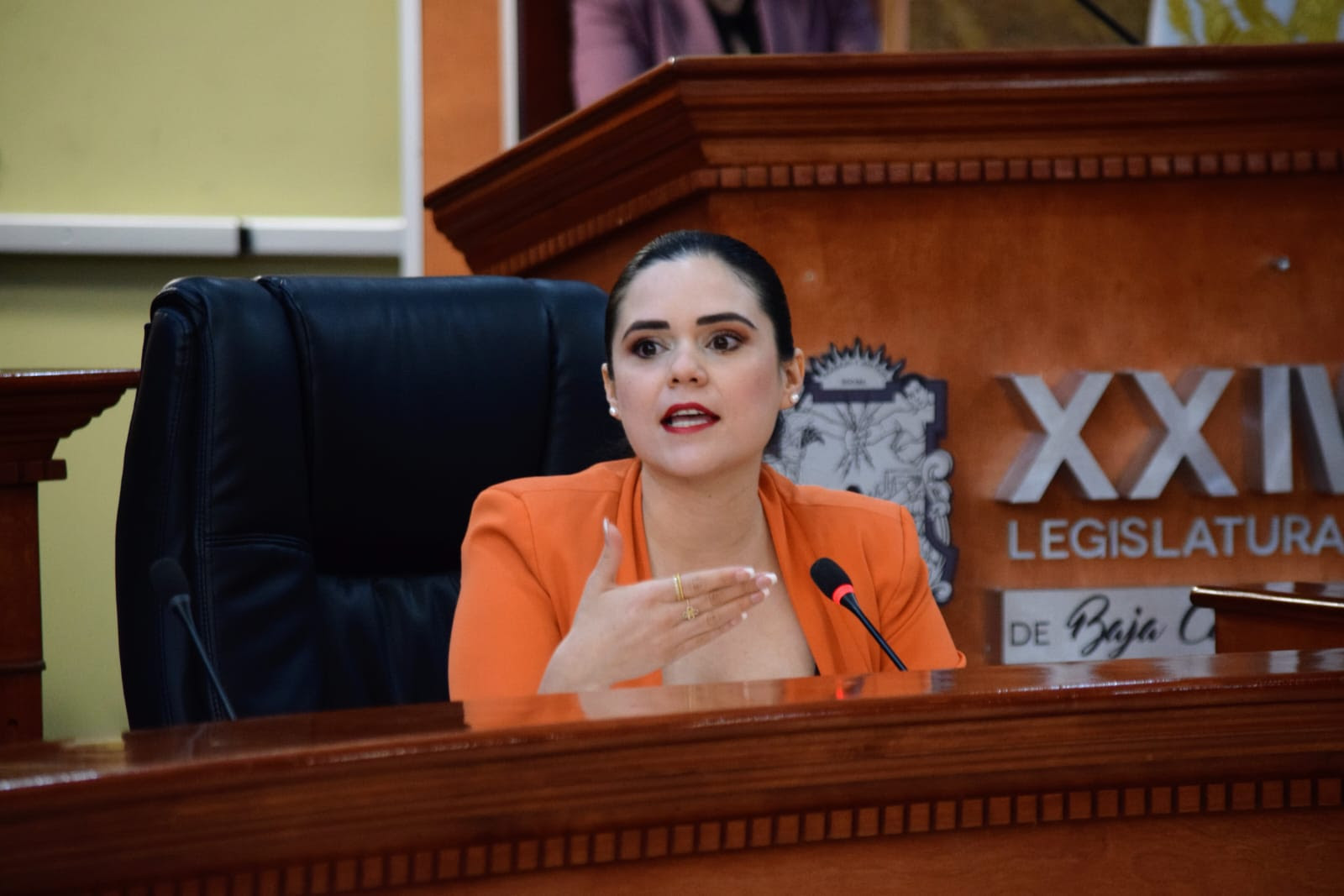 WhatsApp Image 2023-06-24 at 11.00.11