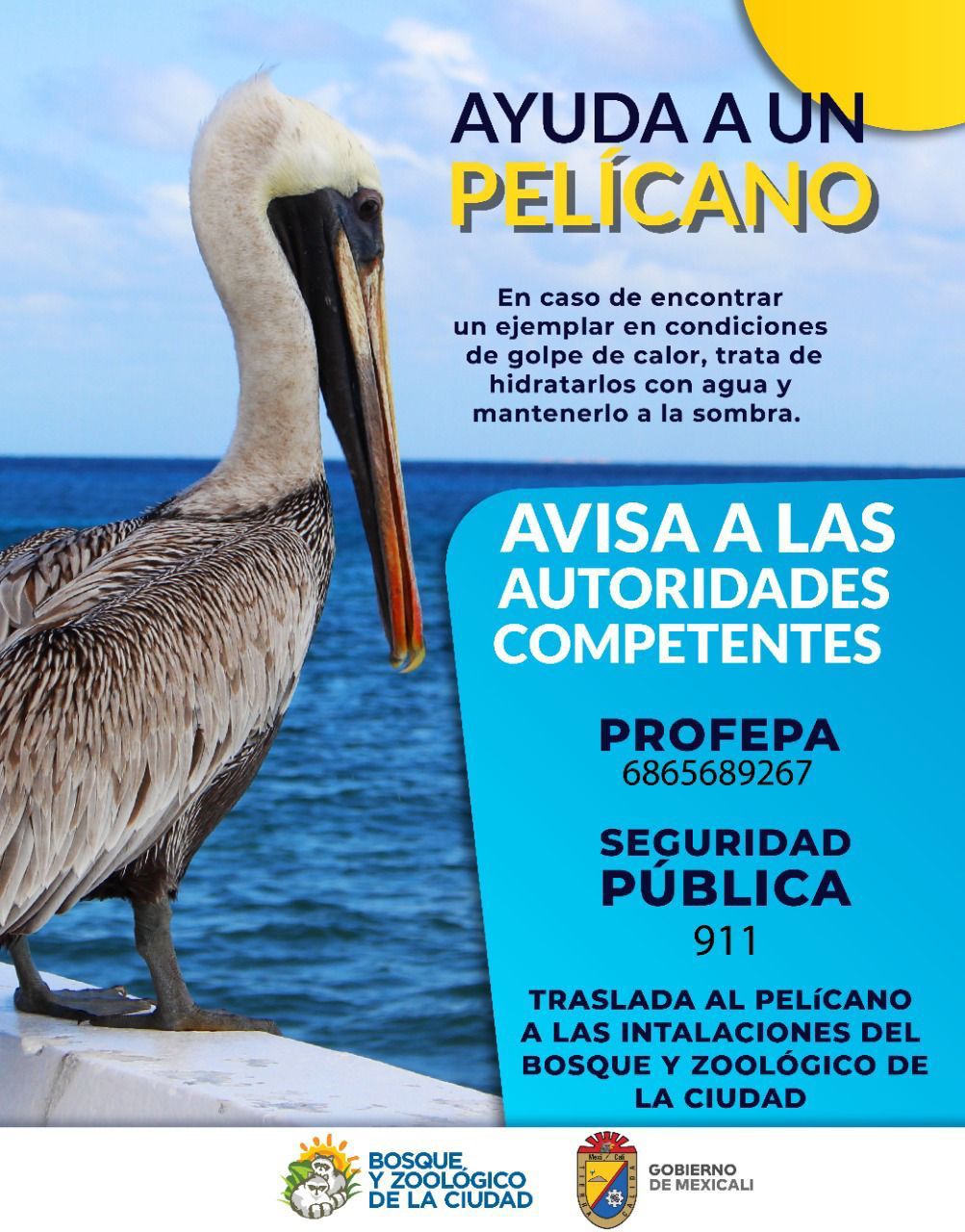 WhatsApp Image 2023-07-04 at 19.22.20