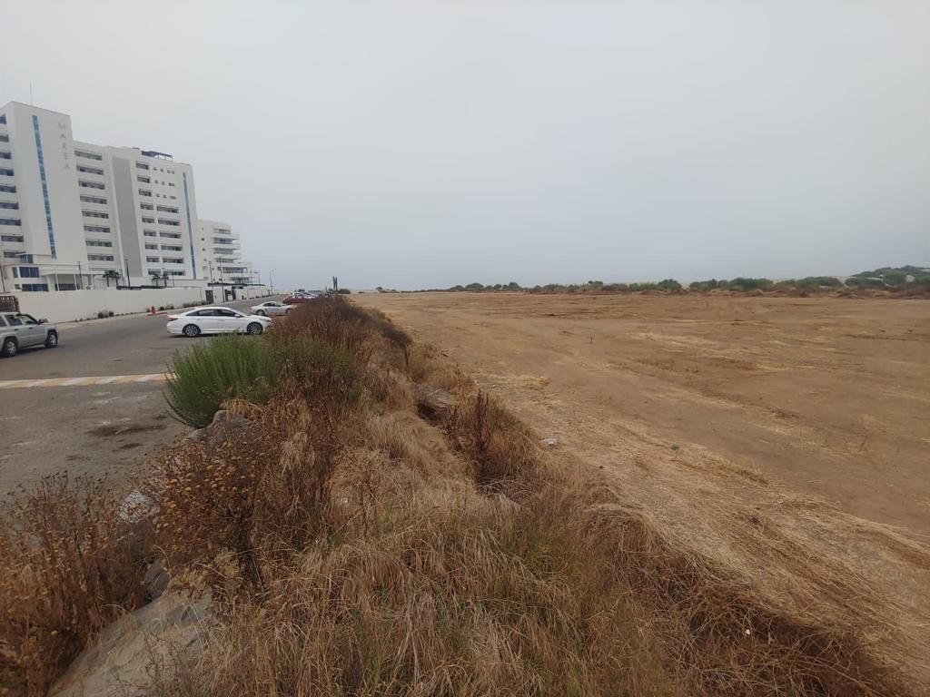 WhatsApp Image 2023-07-31 at 16.45.45