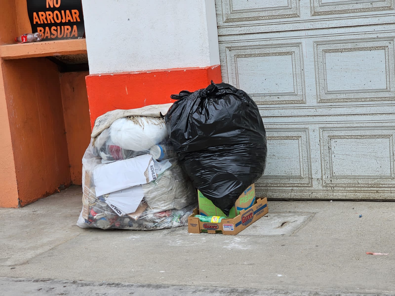 WhatsApp Image 2023-08-28 at 14.33.14