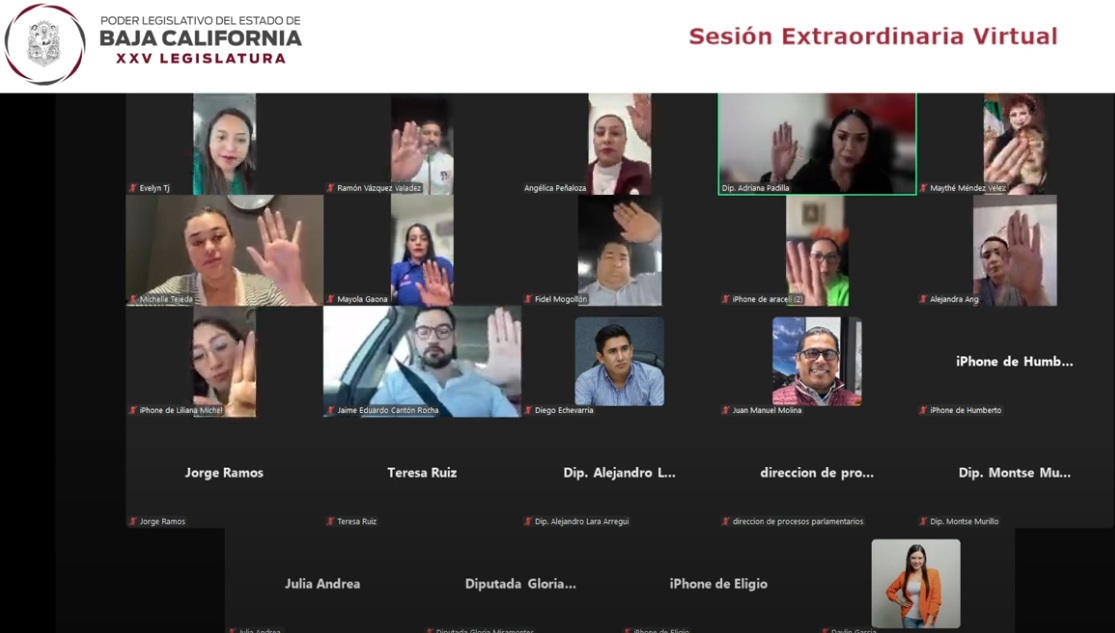 WhatsApp Image 2025-06-13 at 3.38.02 PM