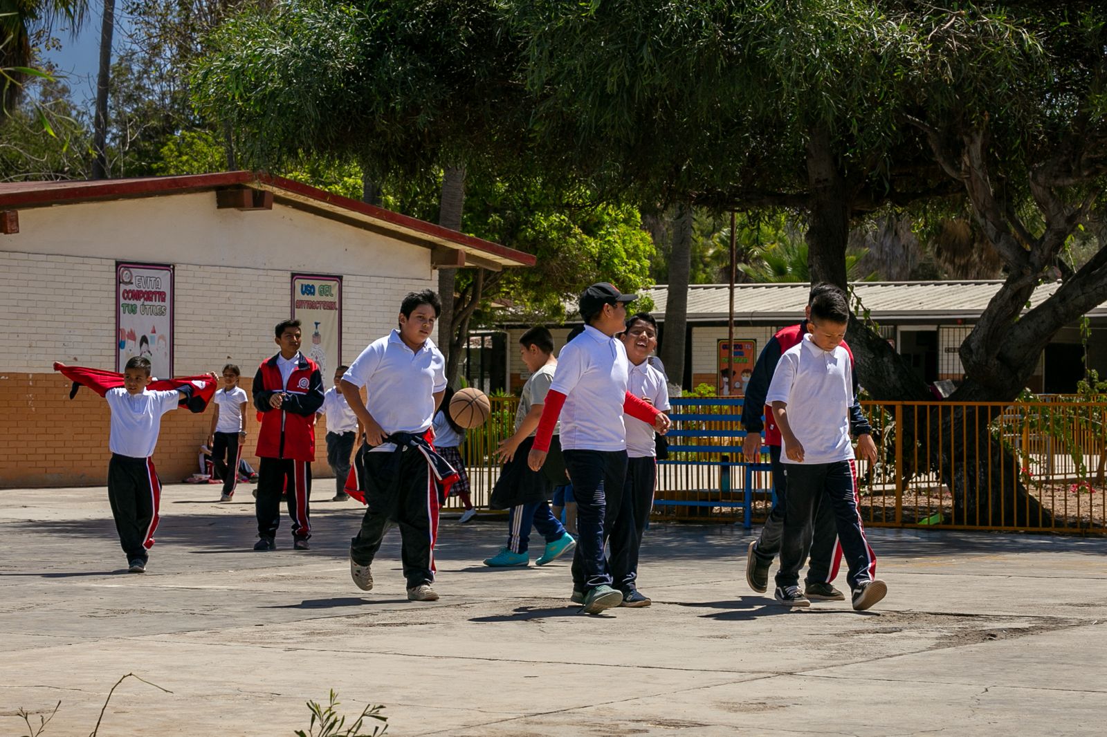 WhatsApp Image 2025-06-30 at 11.23.15 AM