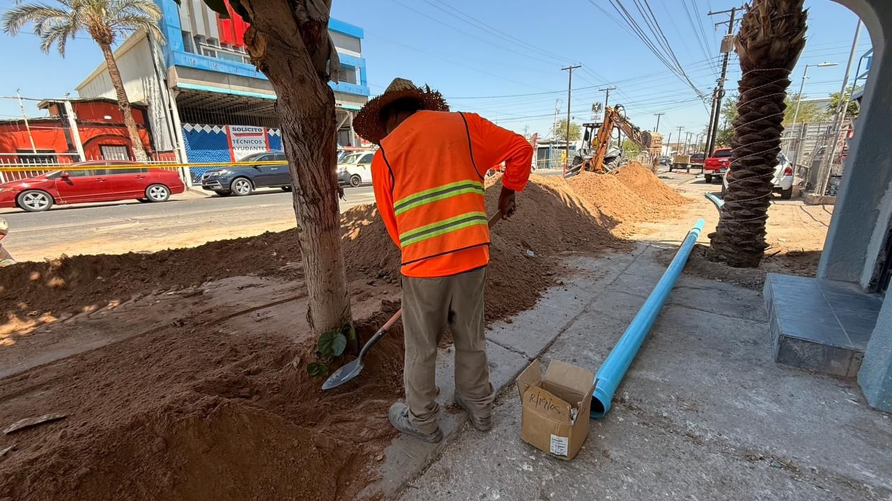 WhatsApp Image 2025-10-27 at 12.28.30 PM (1)