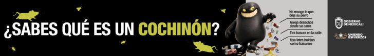 692_Banner-Trinchera_728x120px_Comunicación-Social_Cochinón